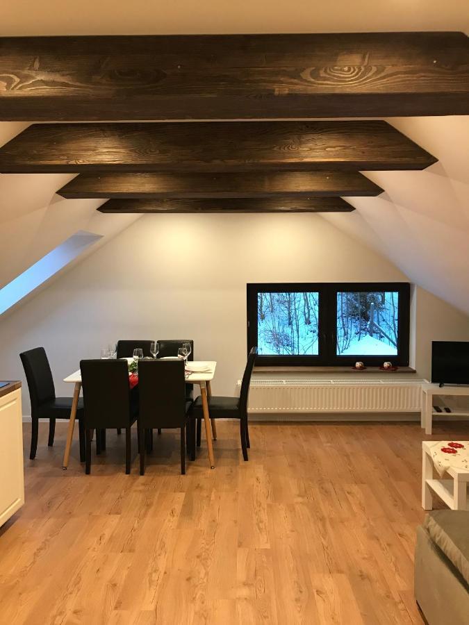 Apartamenty Goszowianka Stronie Śląskie 外观 照片