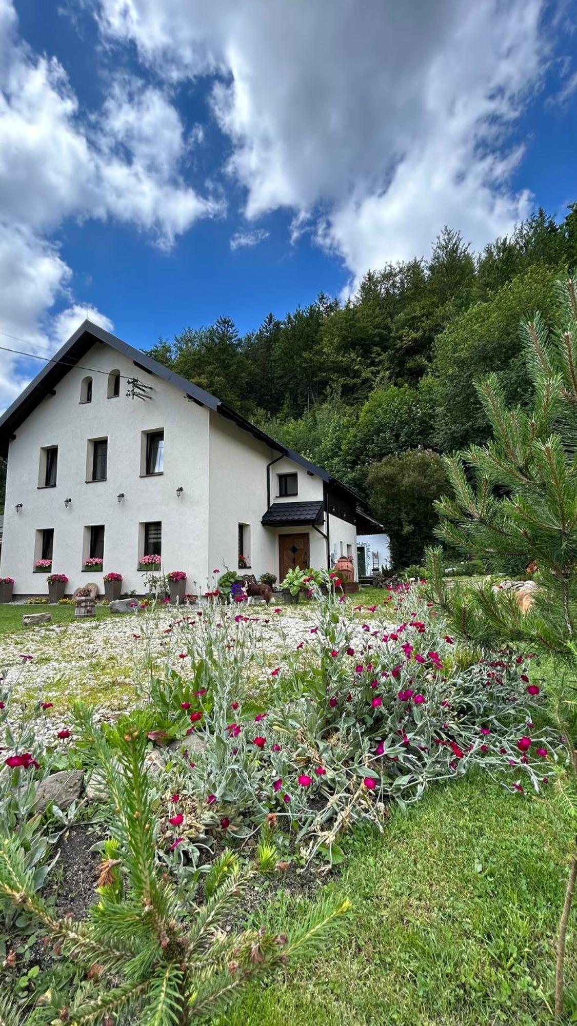 Apartamenty Goszowianka Stronie Śląskie 外观 照片