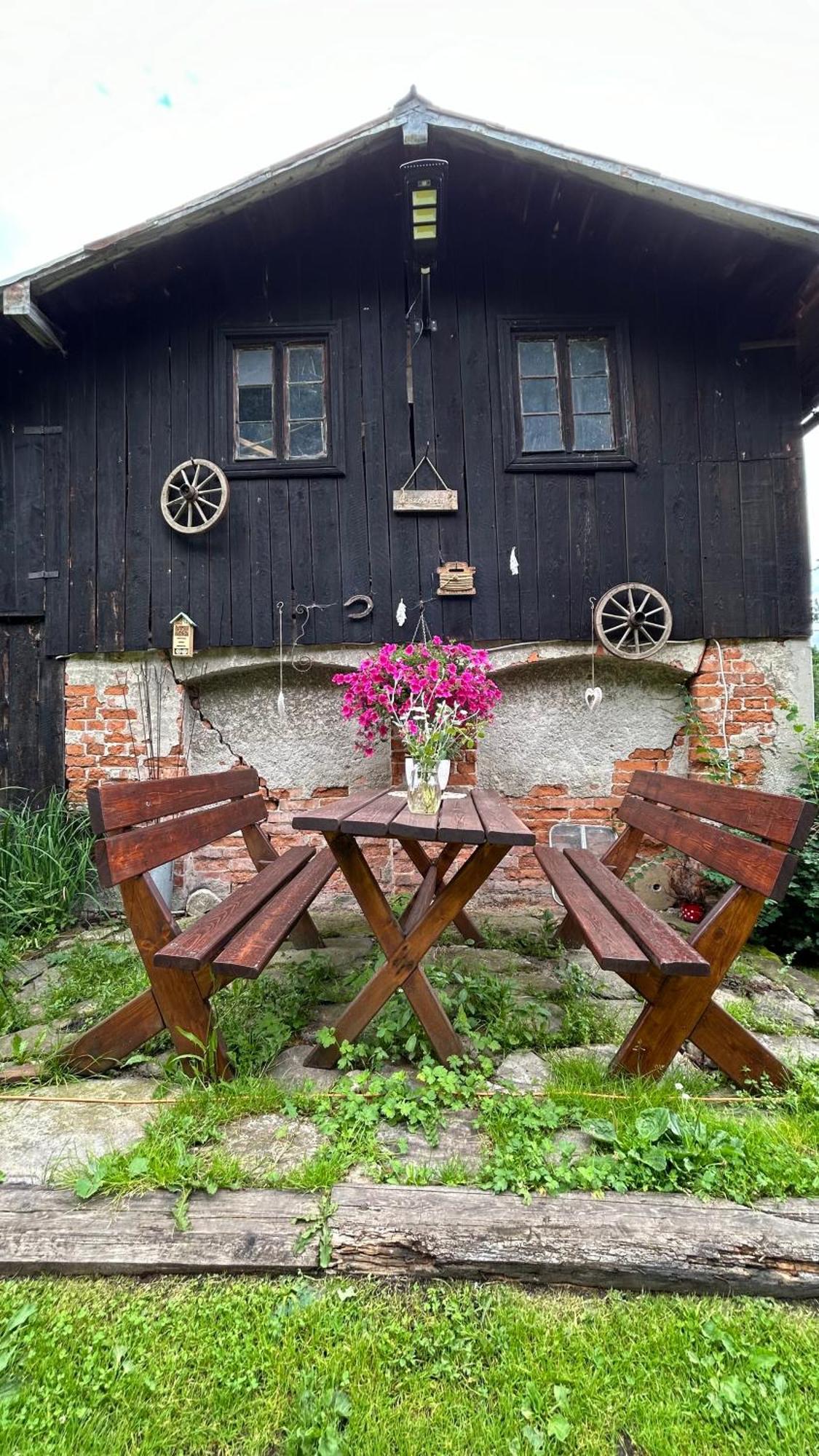 Apartamenty Goszowianka Stronie Śląskie 外观 照片